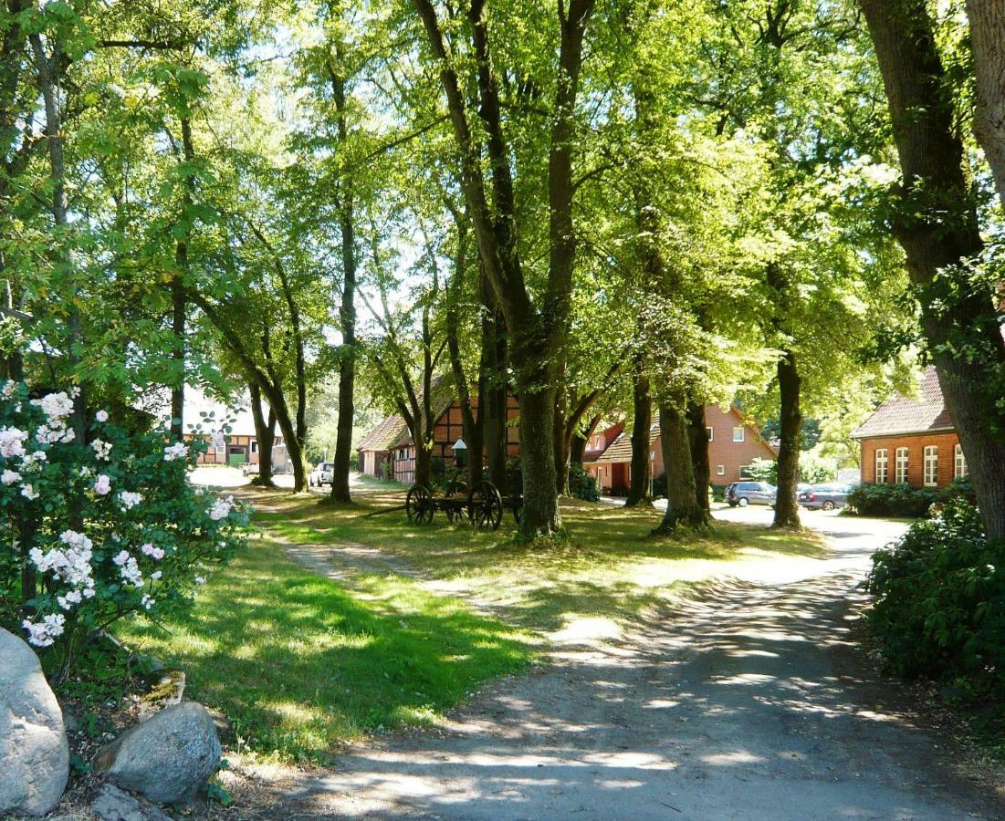 Ferienpension Lindenhof - Ferienwohnungen In Der Lueneburger Heide Marxen am Berge Exterior foto