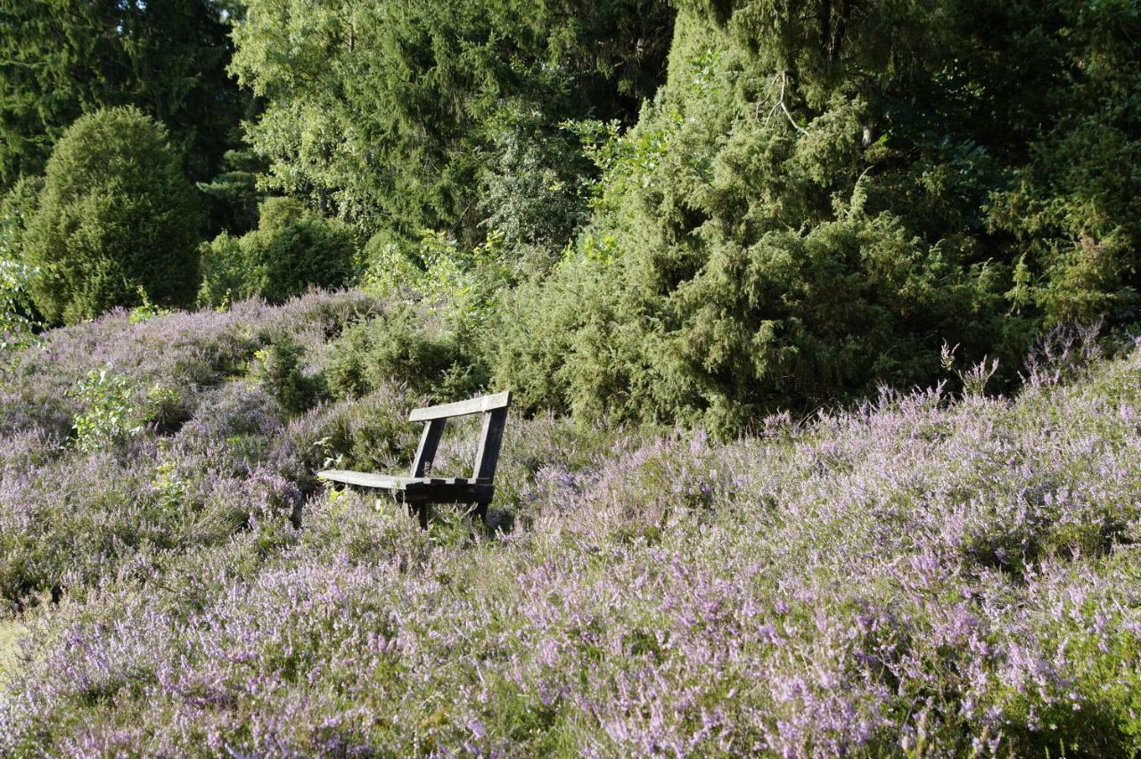 Ferienpension Lindenhof - Ferienwohnungen In Der Lueneburger Heide Marxen am Berge Exterior foto